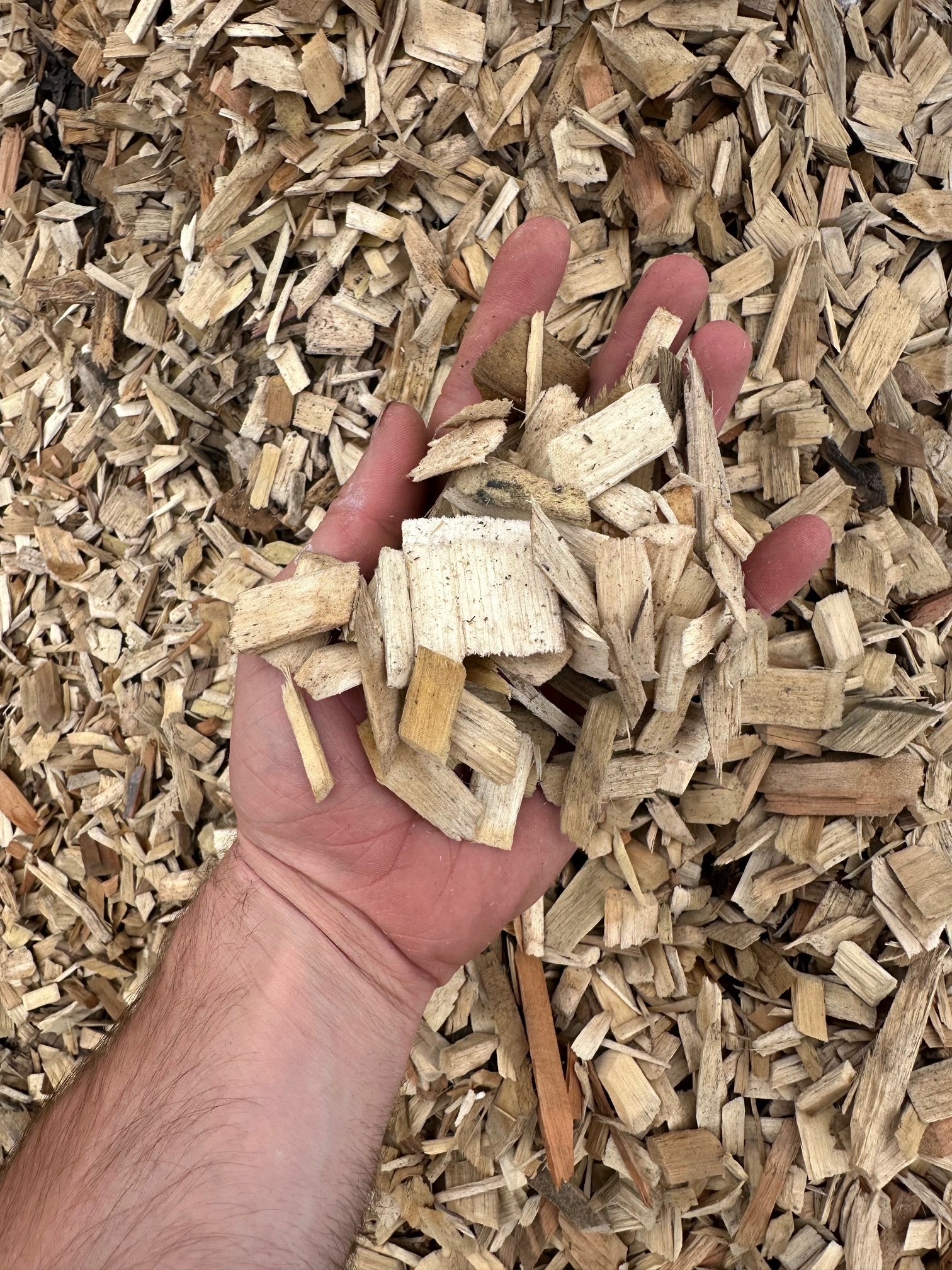 https://threez.infiaglobal.com/storage/photos/1/Products/Mulch/Wood Chips/WOOD CHIPS 2.jpg
